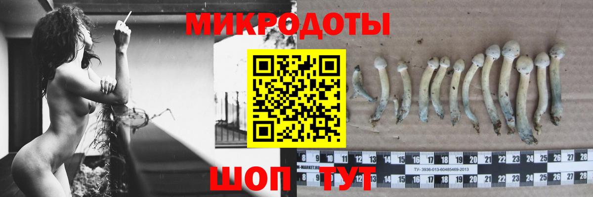 Псилоцибиновые грибы ЛСД  Вход с VPN  Канск 
