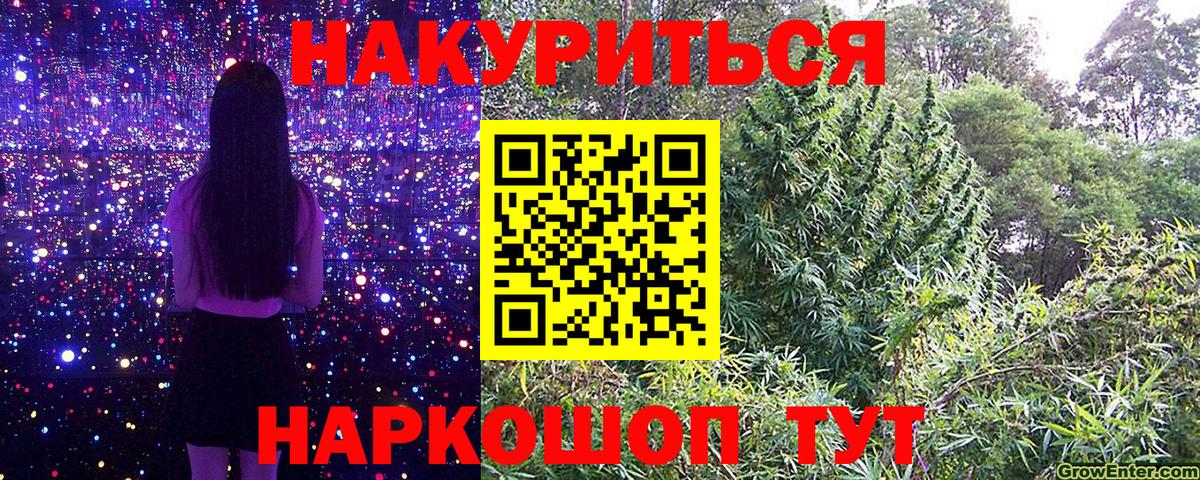 Бошки марихуана Bruce Banner  Вход с VPN  Шишки марихуана план  Канск  МАРИХУАНА LSD WEED  Бошки марихуана план 